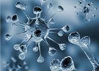 yl23455永利体内体外药效试验顺遂通过药监局审查