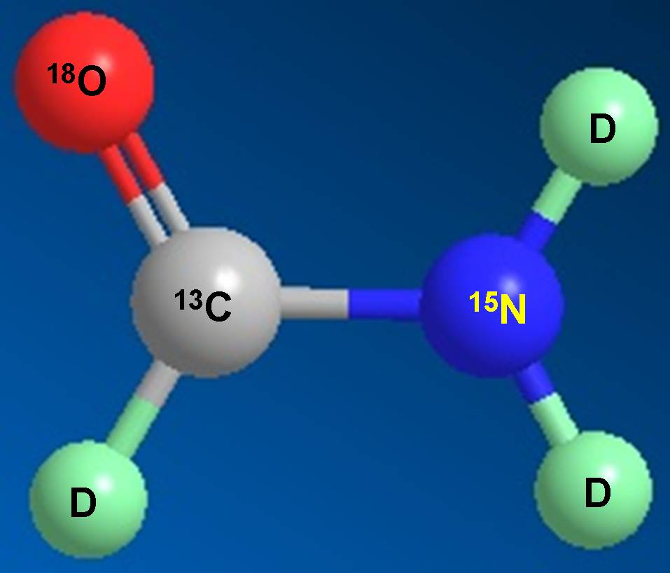 yl23455永利科研职员受邀担当同位素手艺交流培训会讲师