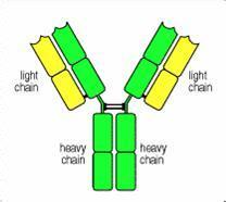 yl23455永利(集团)股份有限公司官网