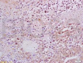yl23455永利(集团)股份有限公司官网