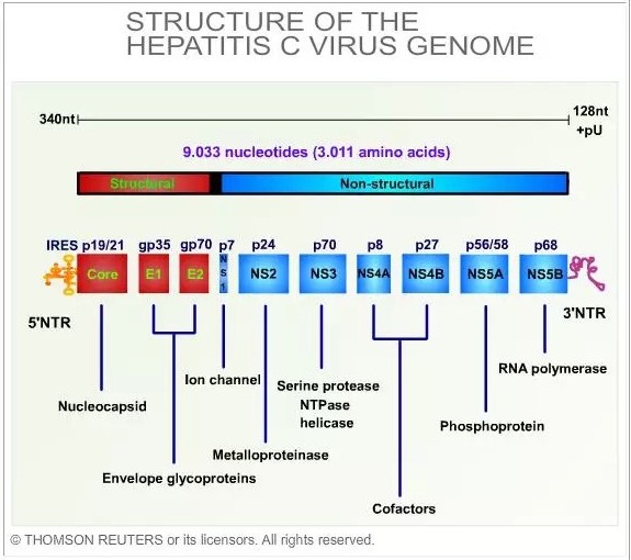 yl23455永利(集团)股份有限公司官网
