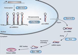 yl23455永利(集团)股份有限公司官网