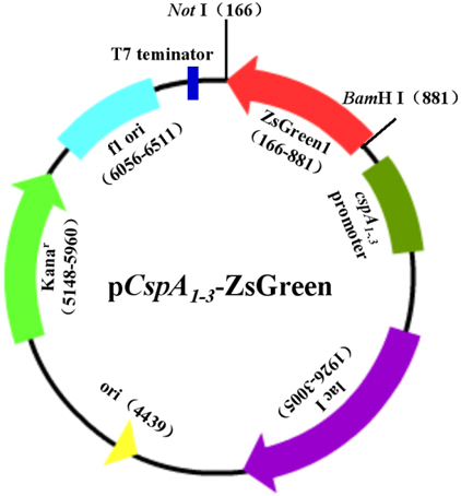 yl23455永利(集团)股份有限公司官网