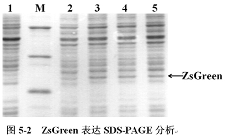 yl23455永利(集团)股份有限公司官网