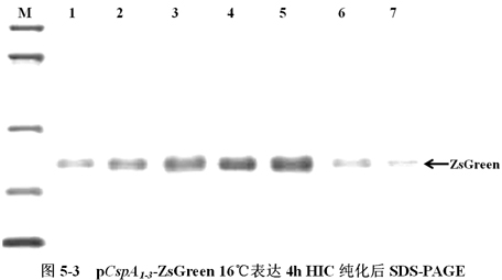 yl23455永利(集团)股份有限公司官网