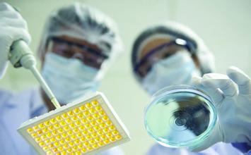 yl23455永利(集团)股份有限公司官网