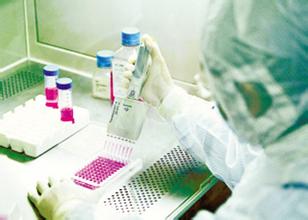 8月12号，，，yl23455永利将加入2011神经系统科学年会