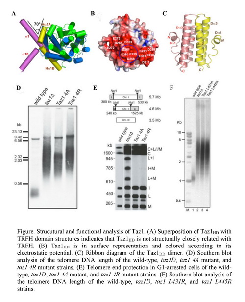 yl23455永利(集团)股份有限公司官网