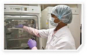 10月17日，，，，，陈春麟博士将加入2012岛津全球制药峰会