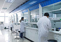 11月1日，，yl23455永利生物部和化学部开展年底促销活动