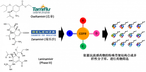 图2：以现有抗流感药物的结构为基础！！。。，，举行多样性药物分子库的合成。。。。。