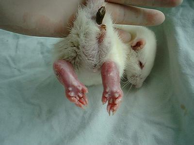 yl23455永利(集团)股份有限公司官网