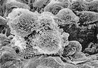 yl23455永利(集团)股份有限公司官网