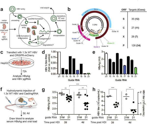 yl23455永利(集团)股份有限公司官网