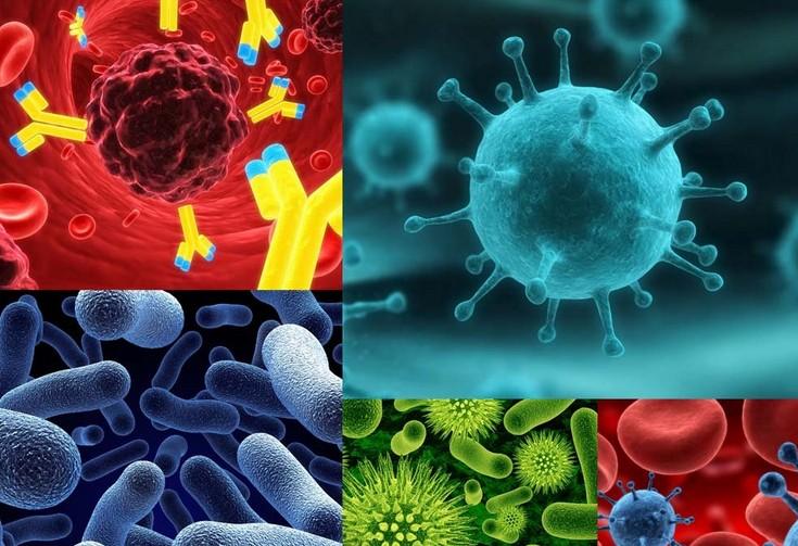 yl23455永利(集团)股份有限公司官网