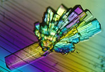 PD-1抑制剂成“抗癌神器”，，，，海内外企业希望怎样？？？？