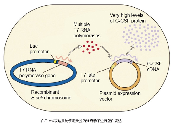 yl23455永利(集团)股份有限公司官网