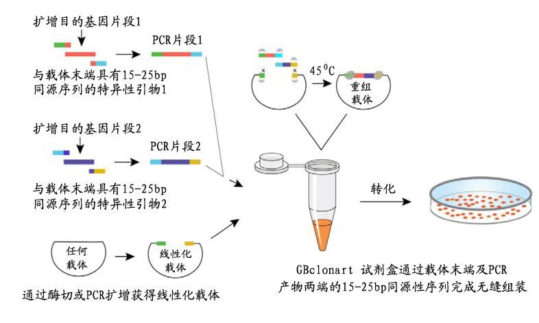 yl23455永利(集团)股份有限公司官网