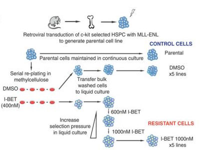 yl23455永利(集团)股份有限公司官网