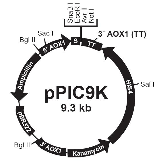 yl23455永利(集团)股份有限公司官网