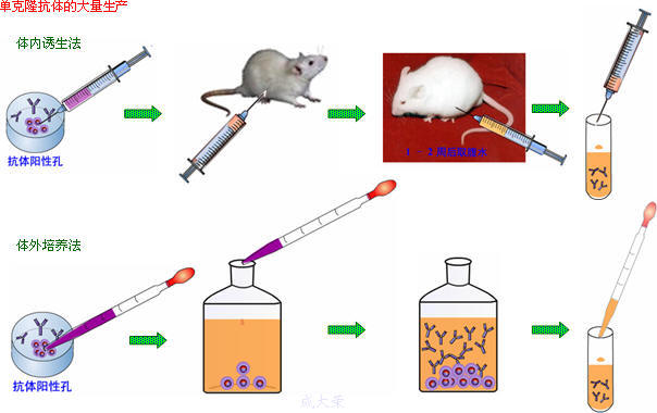 yl23455永利(集团)股份有限公司官网