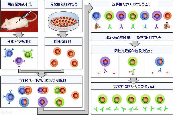 yl23455永利(集团)股份有限公司官网