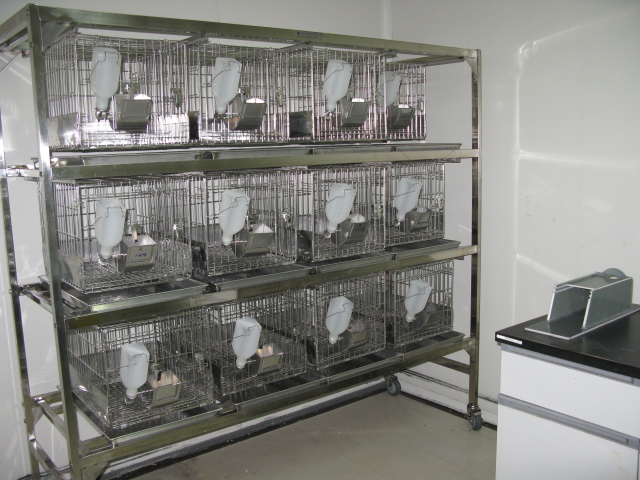 yl23455永利普亚新动物房通过上海动管会验收