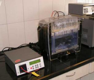 yl23455永利(集团)股份有限公司官网