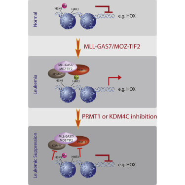 yl23455永利(集团)股份有限公司官网