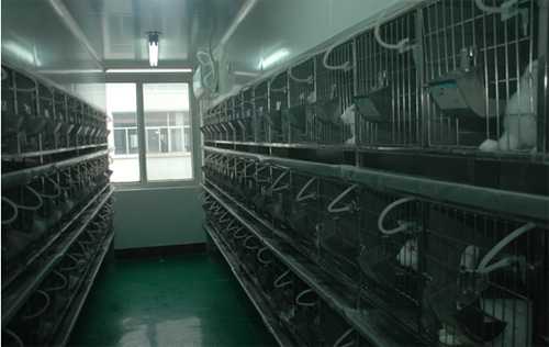 yl23455永利实验动物房