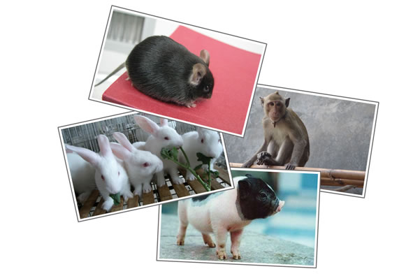 yl23455永利(集团)股份有限公司官网