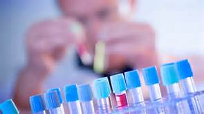 yl23455永利(集团)股份有限公司官网