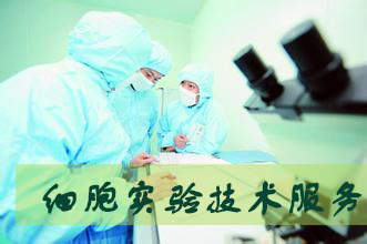 yl23455永利细胞实验效劳外包