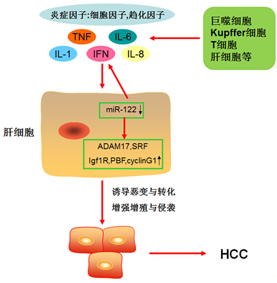 yl23455永利(集团)股份有限公司官网