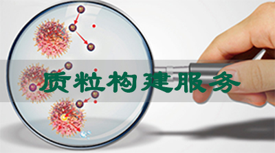 yl23455永利质粒构建效劳