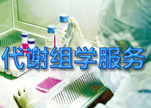 yl23455永利代谢组学手艺效劳