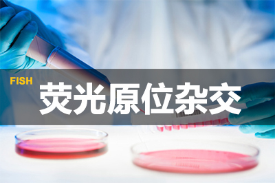 yl23455永利荧光原位杂交手艺