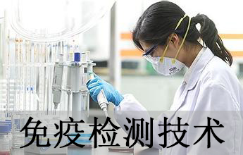 yl23455永利免疫学检测手艺剖析效劳