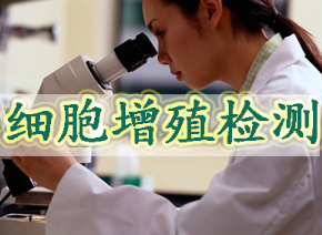 yl23455永利细胞增殖检测