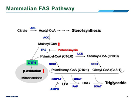yl23455永利(集团)股份有限公司官网