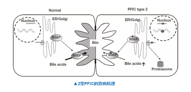 yl23455永利(集团)股份有限公司官网