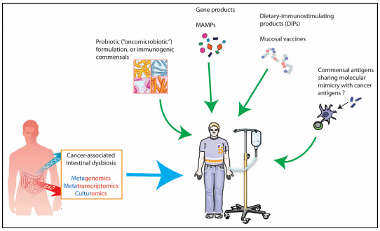 yl23455永利(集团)股份有限公司官网