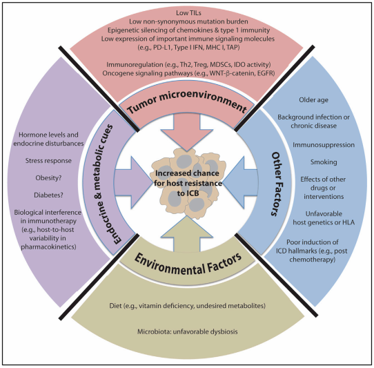 yl23455永利(集团)股份有限公司官网