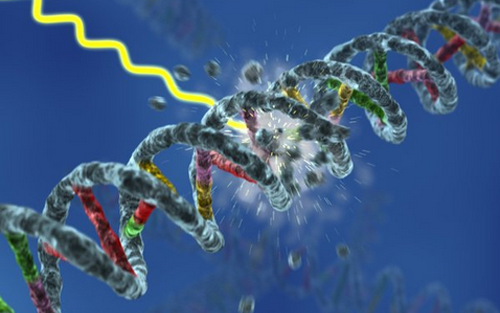 yl23455永利(集团)股份有限公司官网