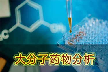 yl23455永利大分子药物剖析效劳