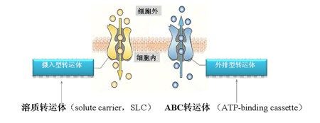 yl23455永利(集团)股份有限公司官网