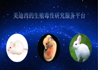 yl23455永利的生殖毒性研究效劳平台