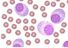 yl23455永利(集团)股份有限公司官网