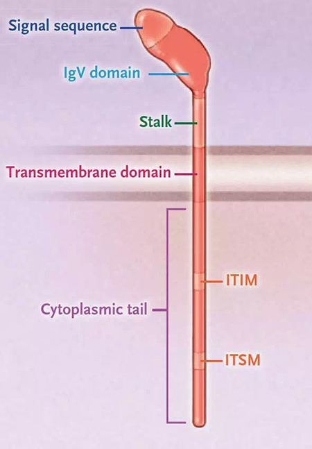 yl23455永利(集团)股份有限公司官网