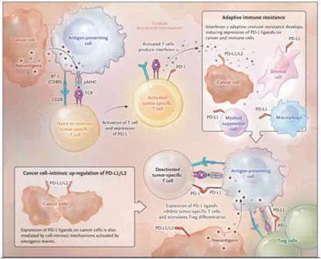 yl23455永利(集团)股份有限公司官网